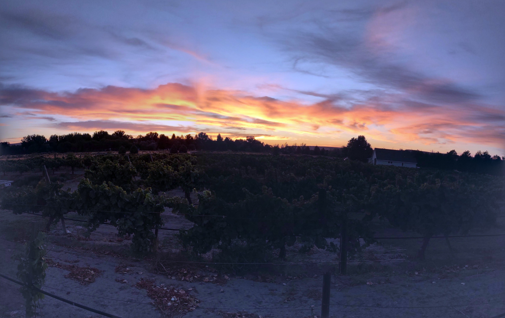 Sunset as the sun sets more.