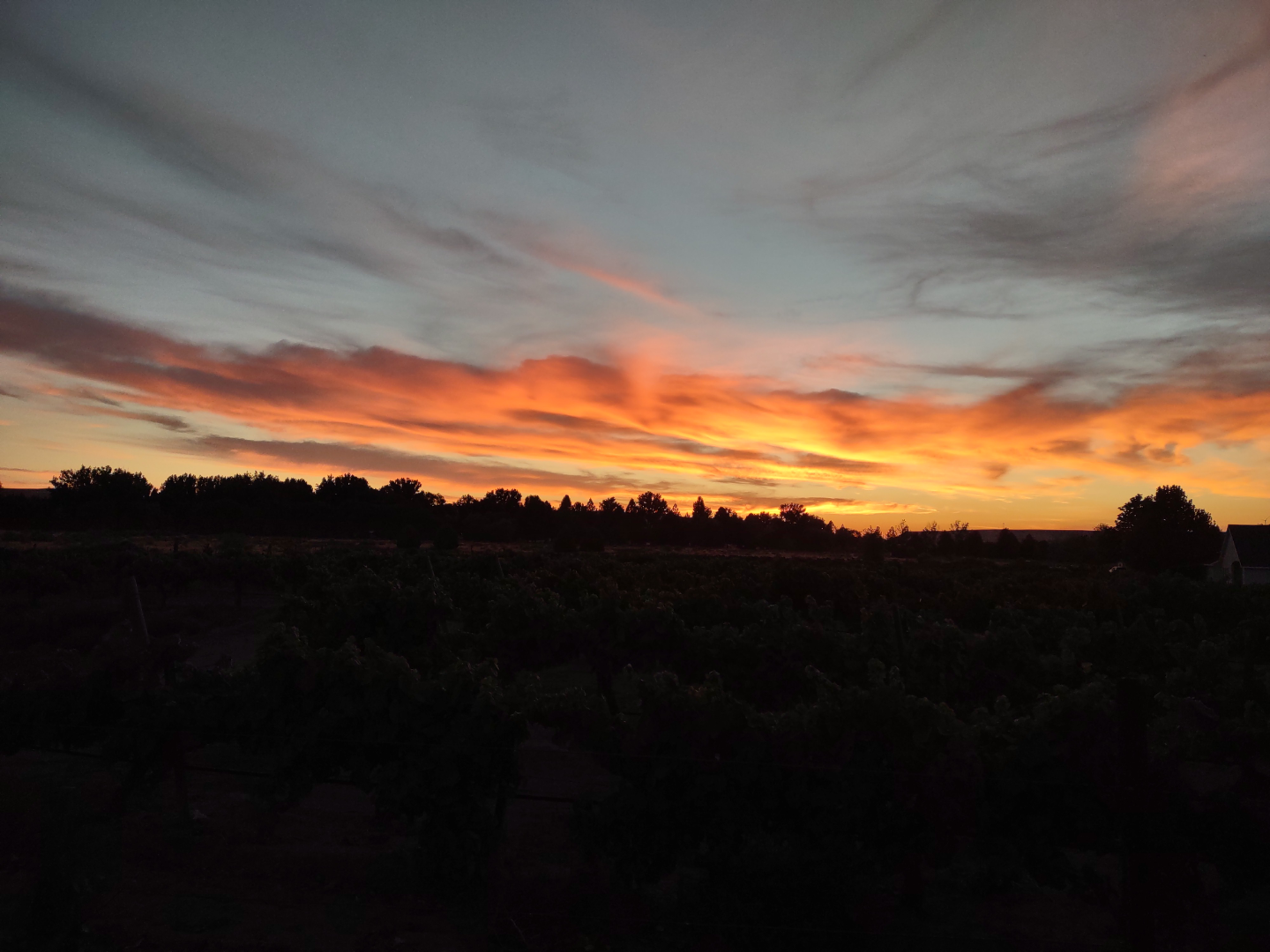 The last sunset for this trip in our van.