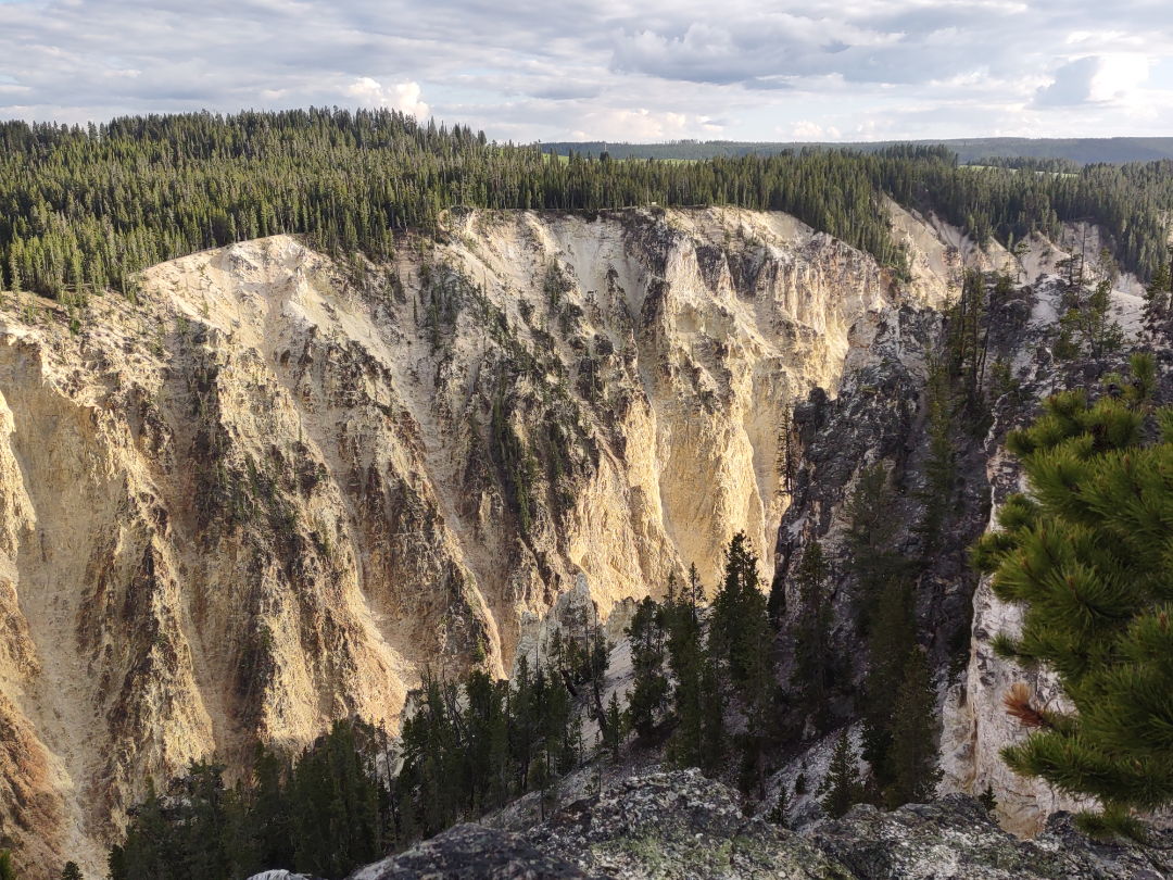 Looking Up the Canyon.