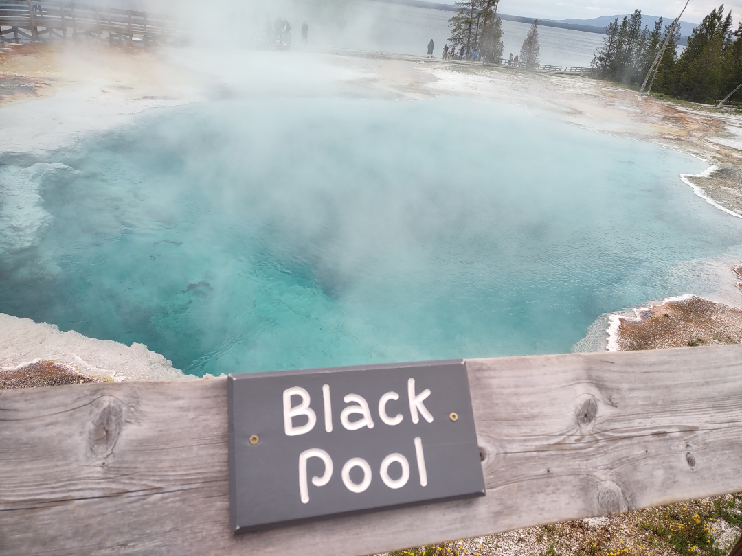 Black Pool.